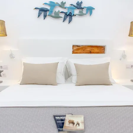 Elaya Cycladic Apartment, Naxos Town, By Naxosvibe Lejlighed Naxos City