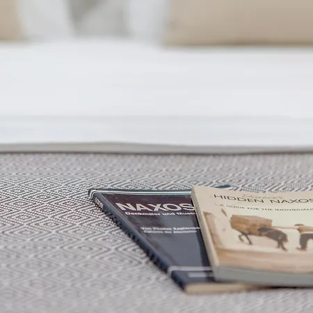 Lejlighed Elaya Cycladic Apartment, Naxos Town, By Naxosvibe