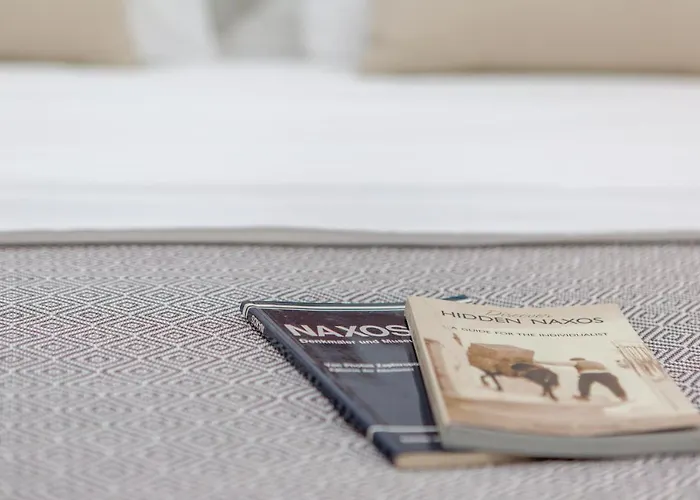 Apartment Elaya Cycladic Apartment, Naxos Town, By Naxosvibe